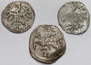 Sigismond II Auguste, Deux dollars et deniers 1555-1569 - set (3pcs)