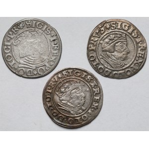 Zygmunt I Stary, Grosze Gdańsk 1534-1540 - zestaw (3szt)