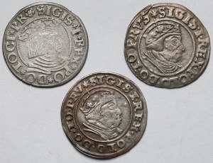 Sigismond Ier le Vieux, Grosze Gdańsk 1534-1540 - set (3pcs)