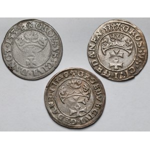 Zygmunt I Stary, Grosze Gdańsk 1534-1540 - zestaw (3szt)