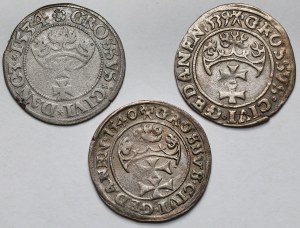 Sigismond Ier le Vieux, Grosze Gdańsk 1534-1540 - set (3pcs)