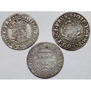 Zygmunt I Stary, Grosze Toruń i Elbląg 1530-1539 - zestaw (3szt)