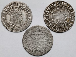 Sigismond Ier l'Ancien, Deniers de Toruń et Elbląg 1530-1539 - set (3pcs)