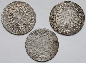 Sigismond Ier l'Ancien, Deniers de Toruń et Elbląg 1530-1539 - set (3pcs)