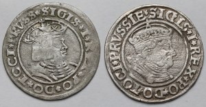 Sigismond Ier l'Ancien, Deniers de Toruń 1528 et 1535 - set (2pcs)