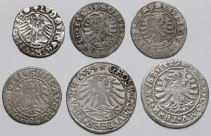 Sigismond Ier l'Ancien, IIe Auguste et Ludwik, Shelly, demi-penny et penny - set (6pcs)