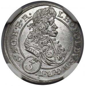 Śląsk, Leopold I, 3 krajcary 1695 MMW, Wrocław