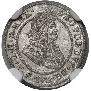 Śląsk, Leopold I, 1 krajcar 1699 FN, Opole
