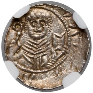 Władysław II Wygnaniec, Denar - Książę i Biskup