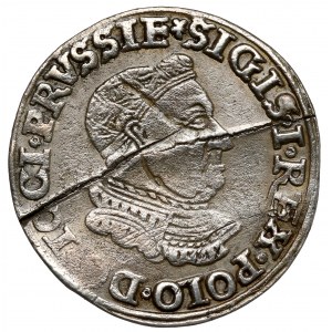 Zygmunt I Stary, Trojak Toruń 1534