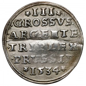 Zygmunt I Stary, Trojak Toruń 1534