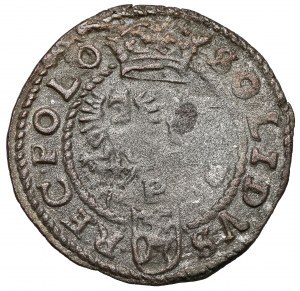 Sigismund III Vasa, Shellegno Poznan 1599 - P over Lewart