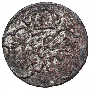 Zygmunt III Waza, Denar Łobżenica 1623