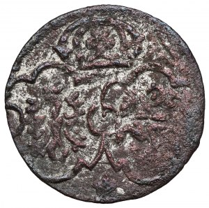 Sigismond III Vasa, Denier de Lobżenica 1623