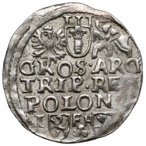 Zygmunt III Waza, Trojak Poznań 1597
