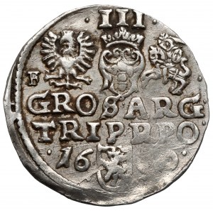 Zygmunt III Waza, Trojak Wschowa 1600