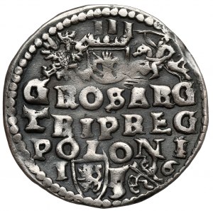Sigismund III Vasa, Troika Lublin 1596