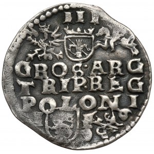 Zygmunt III Waza, Trojak Lublin 1596