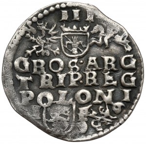 Sigismund III Vasa, Troika Lublin 1596