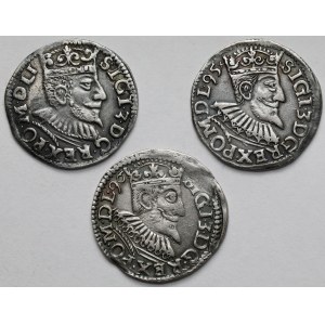 Zygmunt III Waza, Trojaki Poznań i Wschowa 1594-1596 - zestaw (3szt)