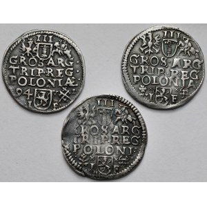 Zygmunt III Waza, Trojaki Poznań i Wschowa 1594-1596 - zestaw (3szt)