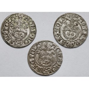 Zygmunt III Waza, Półtoraki 1623-1624 - zestaw (3szt)
