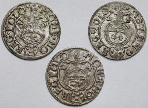 Sigismond III Vasa, Demi-traces 1623-1624 - set (3pcs)