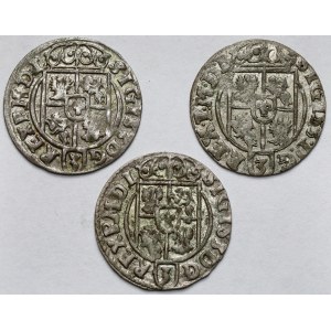 Zygmunt III Waza, Półtoraki 1623-1624 - zestaw (3szt)
