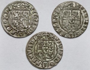 Sigismond III Vasa, Demi-traces 1623-1624 - set (3pcs)