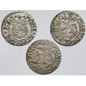 Zygmunt III Waza, Półtoraki 1625-1627 - zestaw (3szt)
