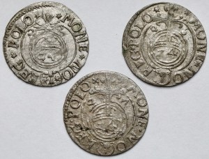 Sigismond III Vasa, Demi-traces 1625-1627 - set (3pcs)
