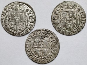 Sigismond III Vasa, Demi-traces 1625-1627 - set (3pcs)
