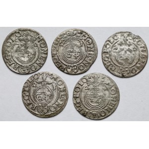 Zygmunt III Waza, Półtoraki 1620-1627 - zestaw (5szt)