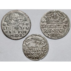 Zygmunt III Waza, Grosze Kraków 1610-1624 - zestaw (3szt)