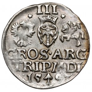 Zygmunt III Waza, Trojak Wilno 1593 - Dyla
