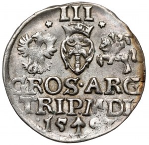 Sigismond III Vasa, Troïka Vilnius 1593 - Dyla