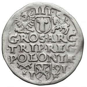 Zygmunt III Waza, Trojak Poznań 1591