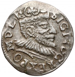 Sigismond III Vasa, Trojak Poznań 1593