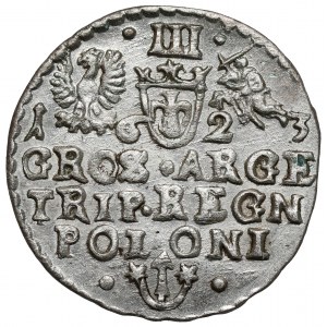 Zygmunt III Waza, Trojak Kraków 1623 - POLO