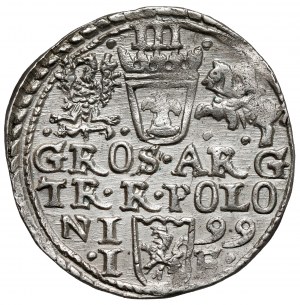 Sigismund III Vasa, Trojak Olkusz 1599