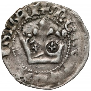 Władysław II Jagiełło, Półgrosz Kraków - typ 14 - bez znaku
