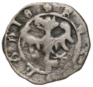 Casimir III le Grand, denier de Cracovie sans date