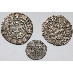Kazimierz IV Jagiellończyk, Denar i Półgrosz - zestaw (3szt)