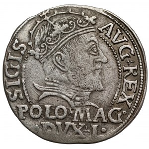 Zygmunt II August, Grosz na stopę polską 1546, Wilno