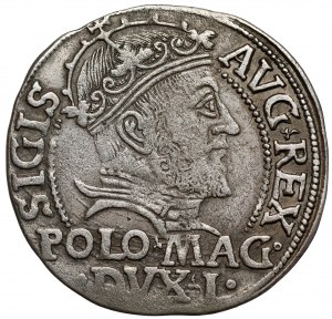 Sigismond II Auguste, Grosz na stopa polską 1546, Vilnius