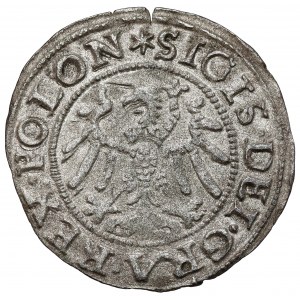 Zygmunt I Stary, Szeląg Gdańsk 1547