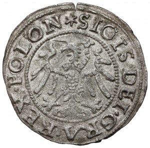 Sigismond Ier le Vieux, Szeląg Gdansk 1547