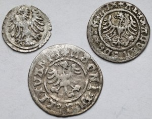 Alexandre Jagellon, demi-penny et denier - set (3pcs)