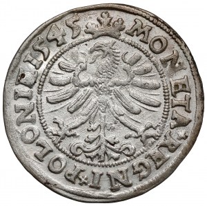 Sigismond Ier le Vieux, Grosz Kraków 1545