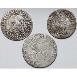 Albrecht Hohenzollern i Zygmunt III Waza, Grosz, 3 krucierze i Szóstak 1544-1626 - zestaw (3szt)